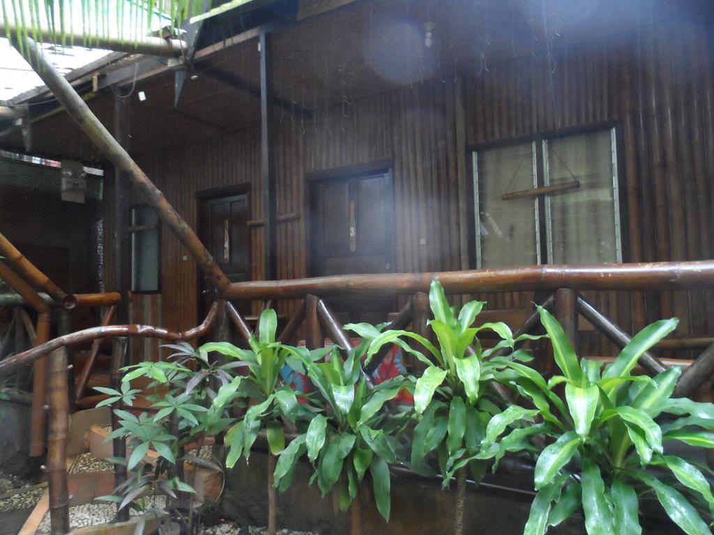 Victoria Guest House And Cottages Puerto Princesa Kültér fotó