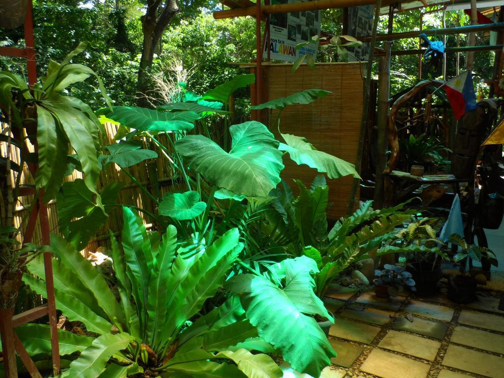 Victoria Guest House And Cottages Puerto Princesa Kültér fotó